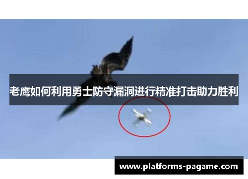 老鹰如何利用勇士防守漏洞进行精准打击助力胜利