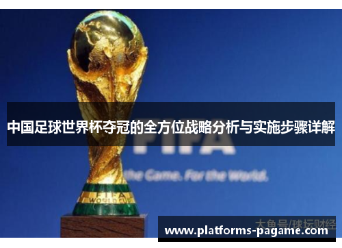 中国足球世界杯夺冠的全方位战略分析与实施步骤详解