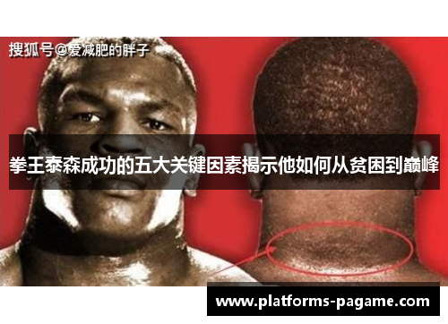 拳王泰森成功的五大关键因素揭示他如何从贫困到巅峰